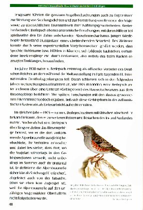Vergrößerung - bitte antippen
